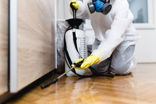 Pest Control Cost in Mount Zion, GA
