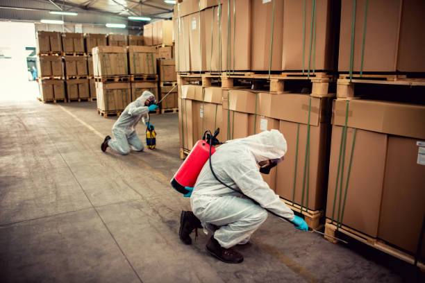 Best Exterminator Services  in Mount Zion, GA