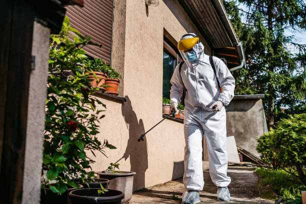 Best Cockroach Control Services  in Mount Zion, GA