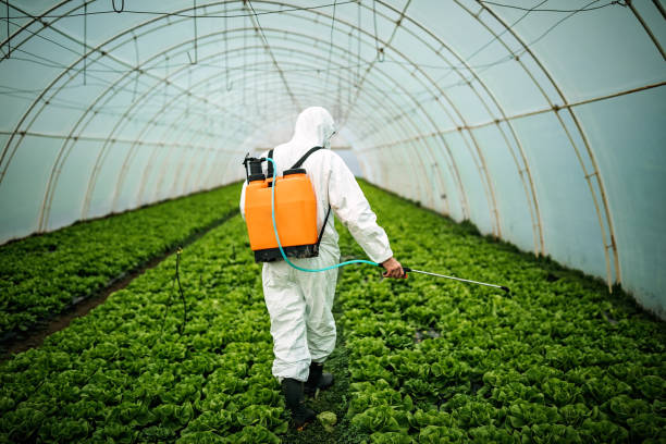 Best Local Pest Control Services  in Mount Zion, GA