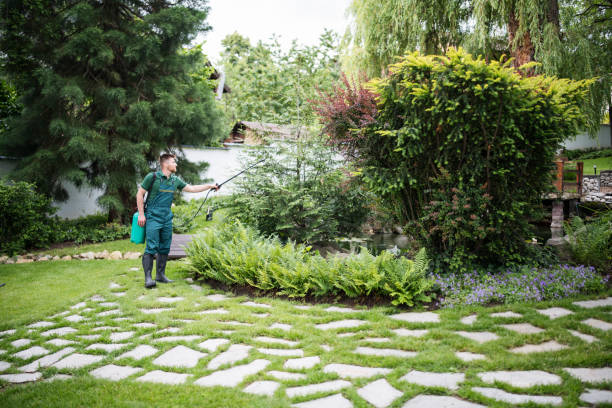 Best Pest Removal Services  in Mount Zion, GA