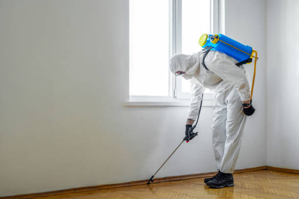 Best Residential Pest Control  in Mount Zion, GA