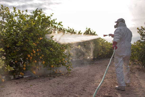 Best Pest Removal Services  in Mount Zion, GA