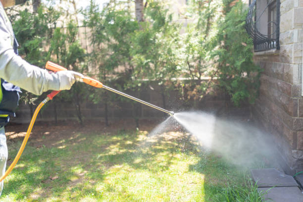 Best Pest Prevention Services  in Mount Zion, GA
