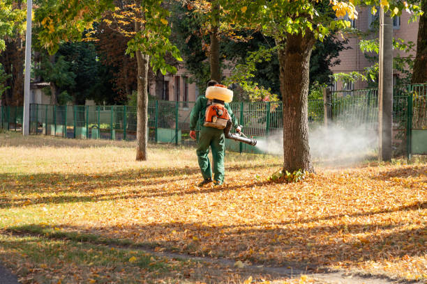 Best Pest Control for Homes  in Mount Zion, GA