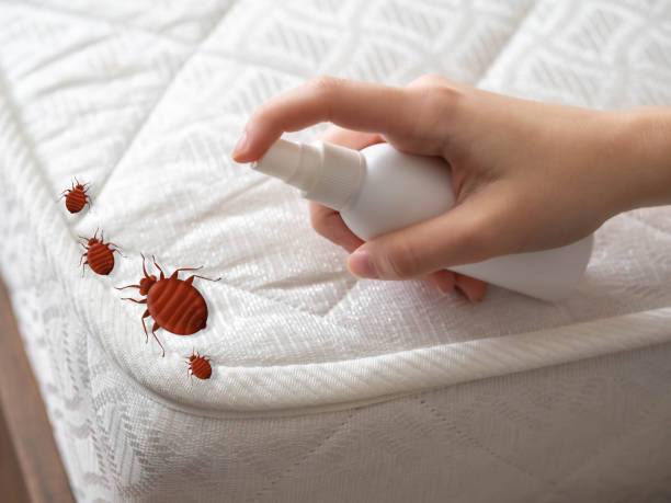 Best Wildlife Control Services  in Mount Zion, GA